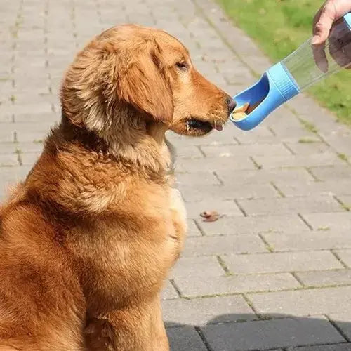 Botella Agua para perro 2 en 1